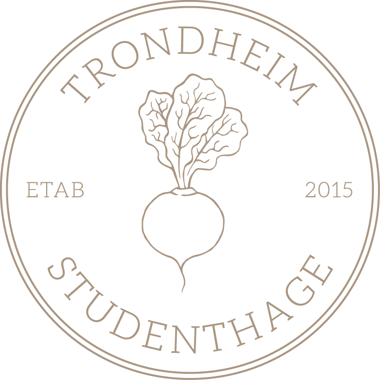 Trondheim Studenthage logo